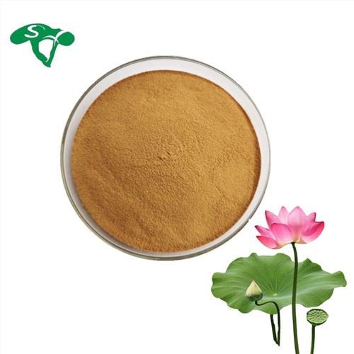 Lotus Leaf Powder